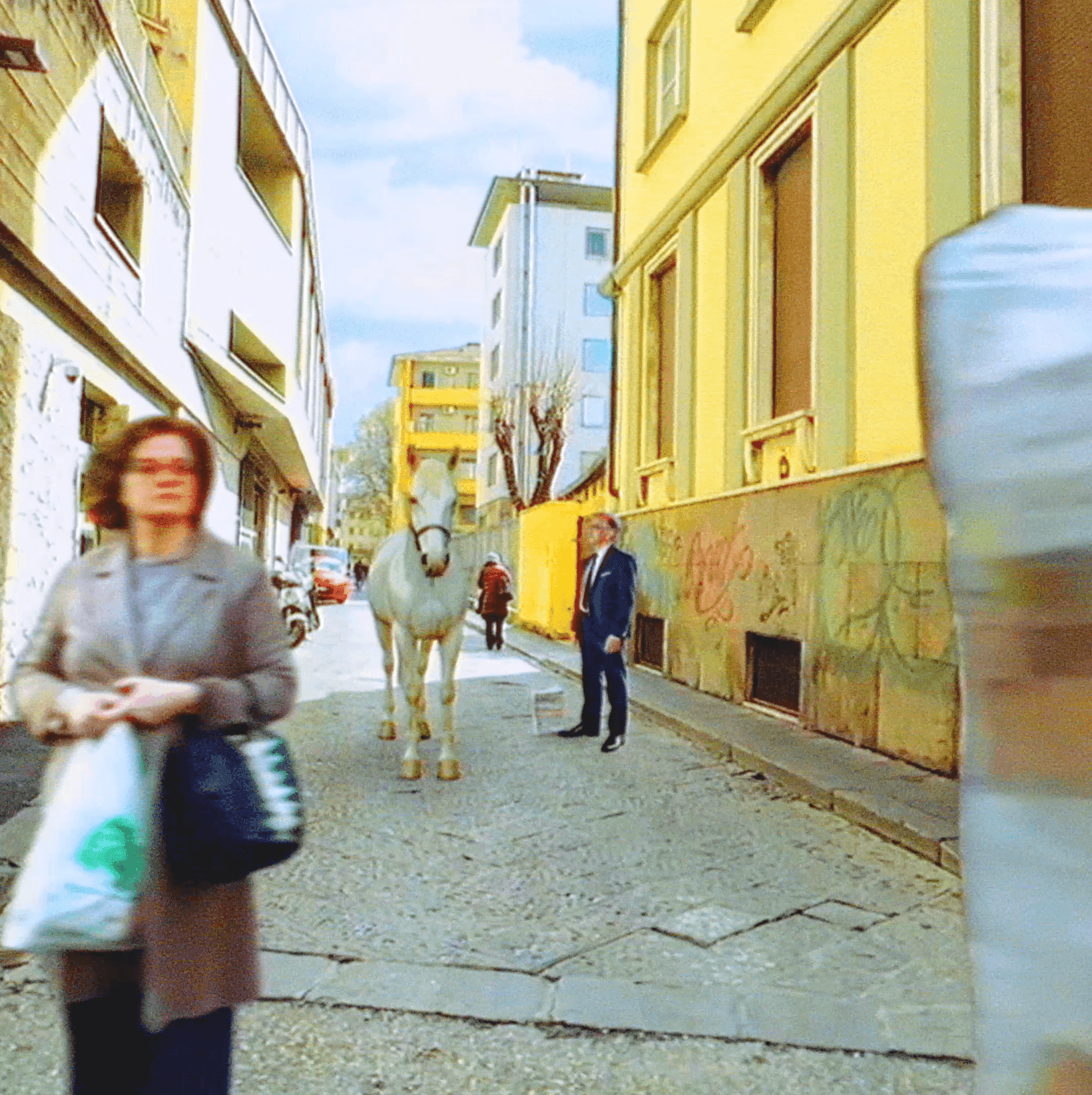 Businessman with white horse